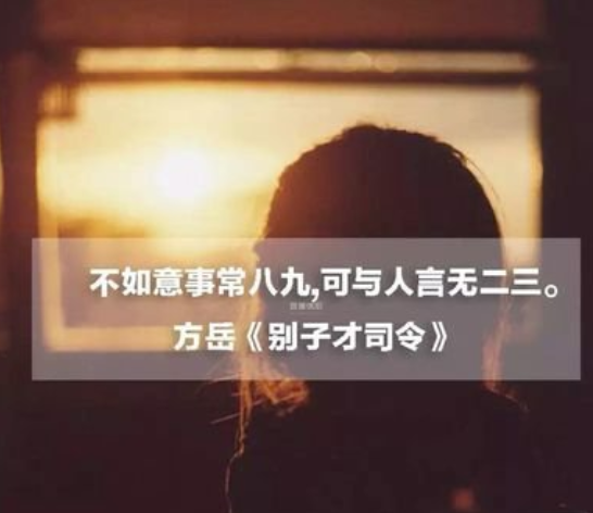 不如意事常来自八九，可与人言无二三是什么意思？