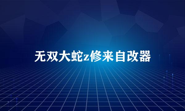 无双大蛇z修来自改器