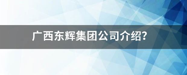 广西东辉集团公司来自介绍？