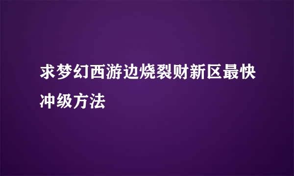 求梦幻西游边烧裂财新区最快冲级方法