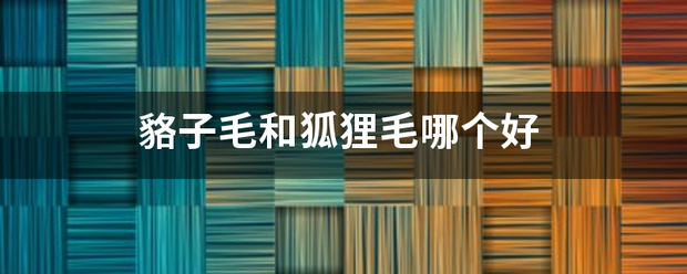 貉子毛和狐狸毛哪个好