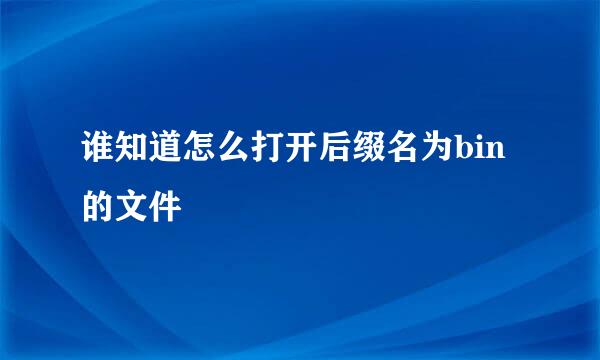 谁知道怎么打开后缀名为bin的文件