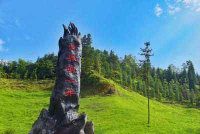 邛崃南宝山必去的景点