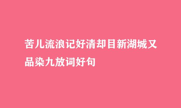 苦儿流浪记好清却目新湖城又品染九放词好句