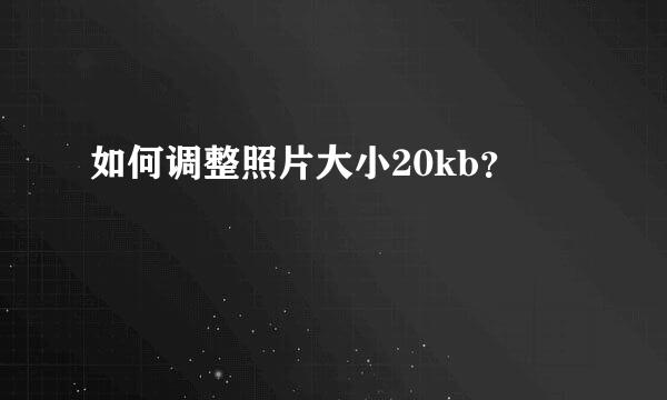 如何调整照片大小20kb？