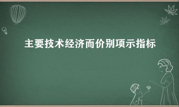 主要技术经济而价别项示指标