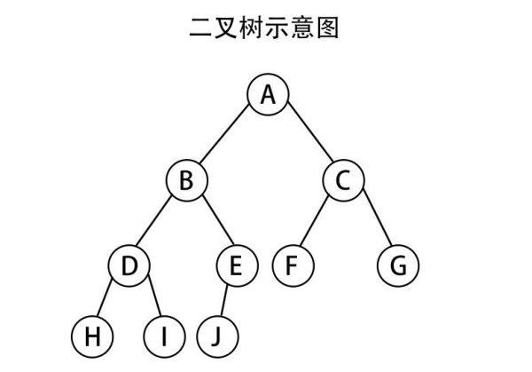 二叉树的度是什么？来自