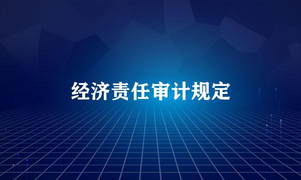 经济责任审计规定