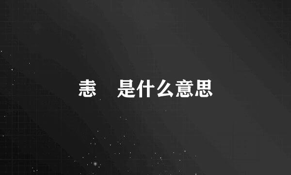 恚 是什么意思