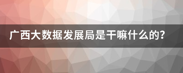 广西大数据发展局是干嘛什么的？