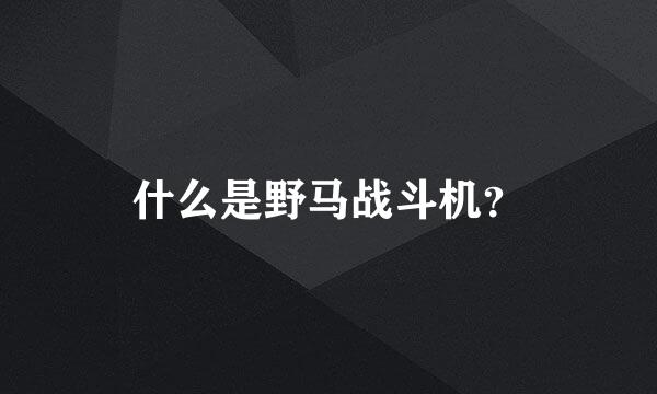 什么是野马战斗机？