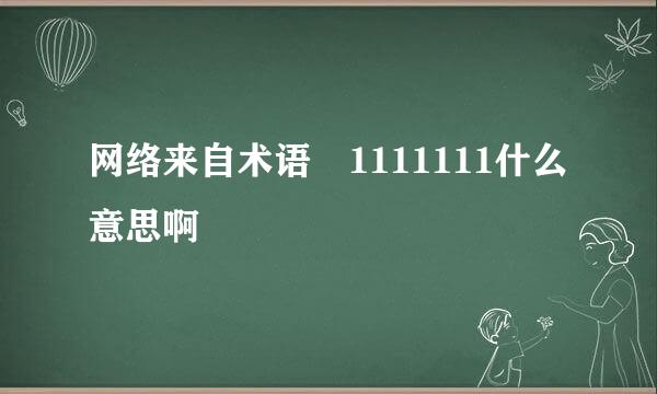 网络来自术语 1111111什么意思啊