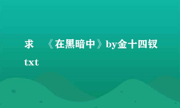 求 《在黑暗中》by金十四钗txt