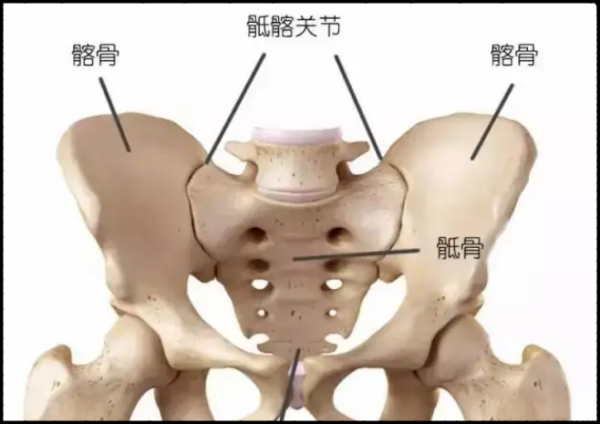 骶髂怎么读