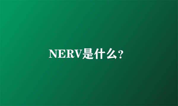 NERV是什么？