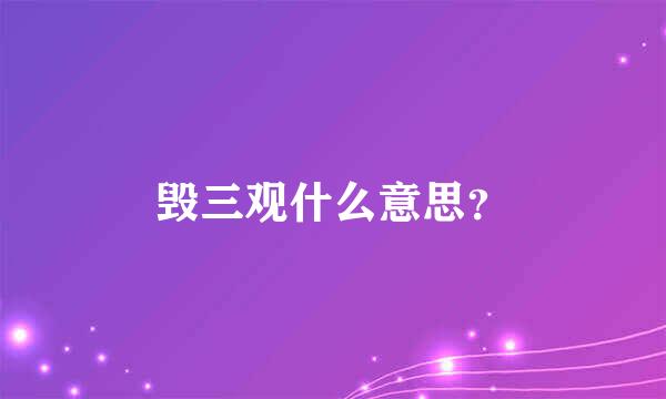 毁三观什么意思？