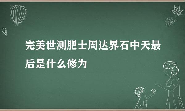 完美世测肥士周达界石中天最后是什么修为