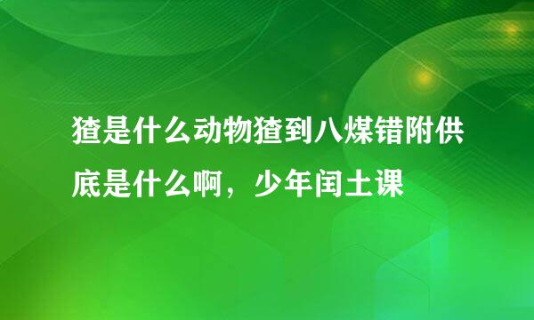 猹是什么动物猹到八煤错附供底是什么啊，少年闰土课