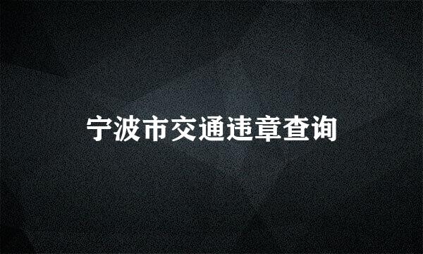 宁波市交通违章查询