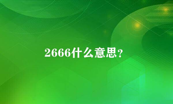 2666什么意思？