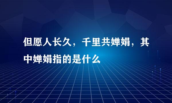 但愿人长久，千里共婵娟，其中婵娟指的是什么