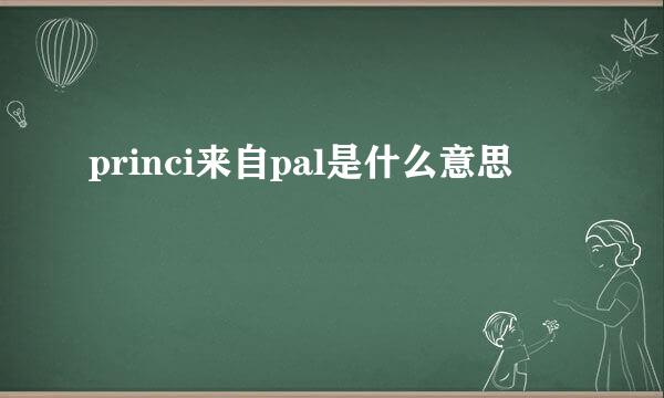 princi来自pal是什么意思