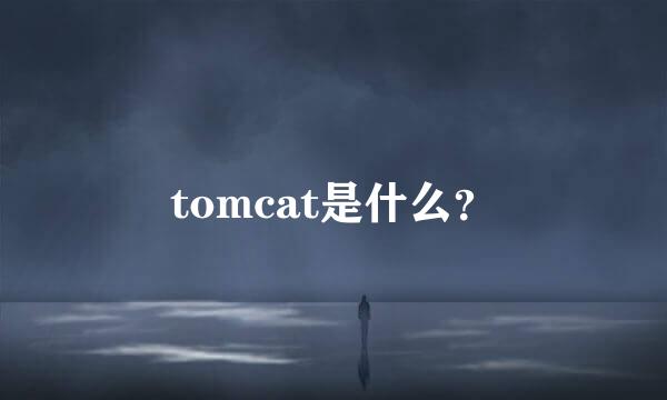 tomcat是什么？