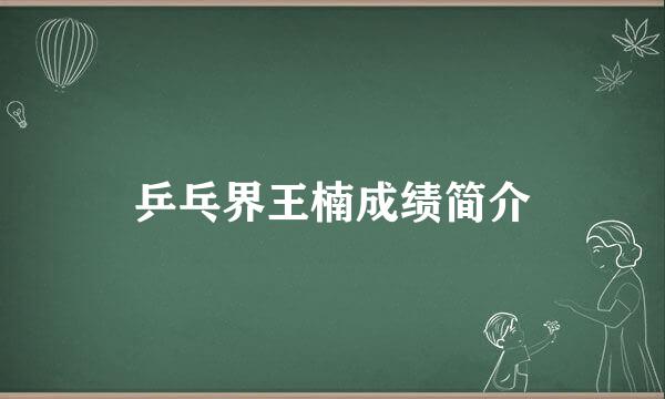 乒乓界王楠成绩简介