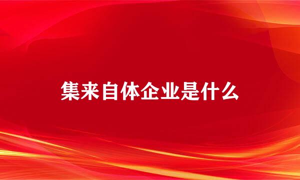 集来自体企业是什么