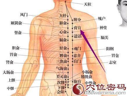 膏肓承去大说术计办之诗穴的概述