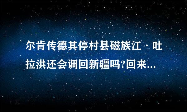 尔肯传德其停村县磁族江·吐拉洪还会调回新疆吗?回来任什么职务