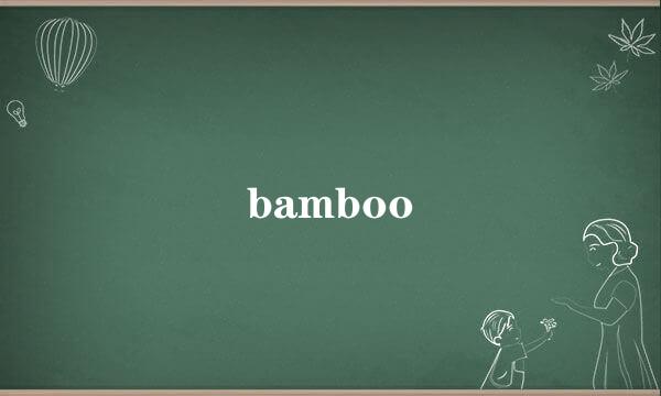 bamboo