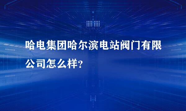 哈电集团哈尔滨电站阀门有限公司怎么样？