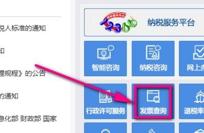 怎么在网上税务局查询自己开的发票