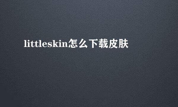 littleskin怎么下载皮肤