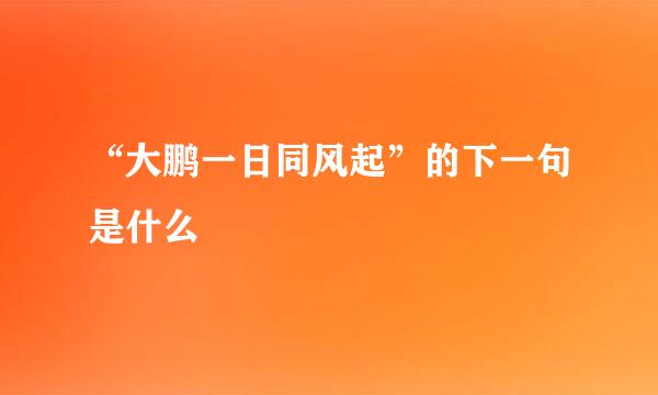 “大鹏一日同风起”的下一句是什么