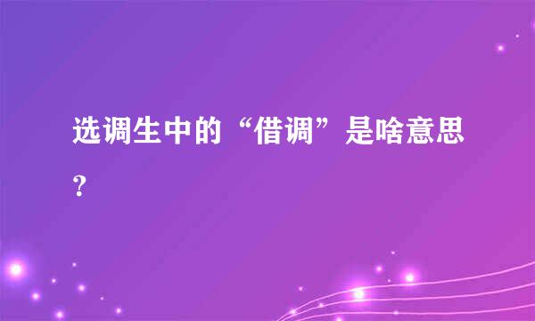 选调生中的“借调”是啥意思？