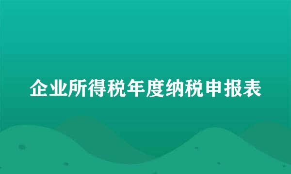 企业所得税年度纳税申报表