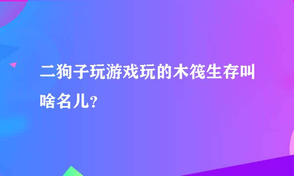 二狗子玩游戏玩的木筏生存叫啥名儿？