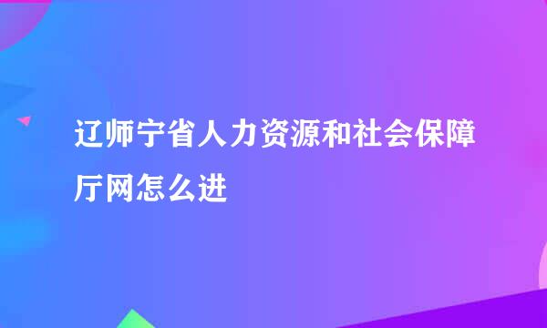 辽师宁省人力资源和社会保障厅网怎么进