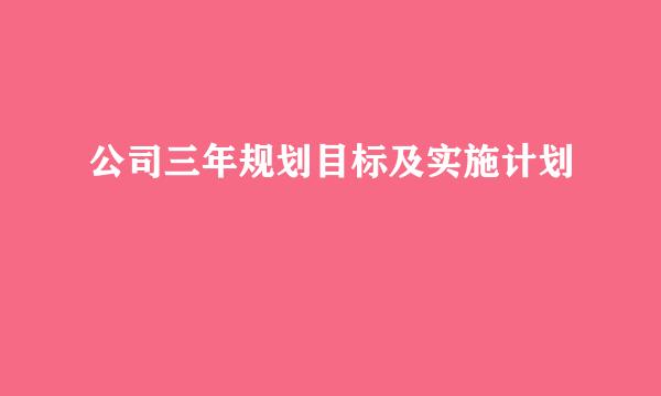 公司三年规划目标及实施计划