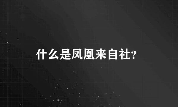 什么是凤凰来自社？