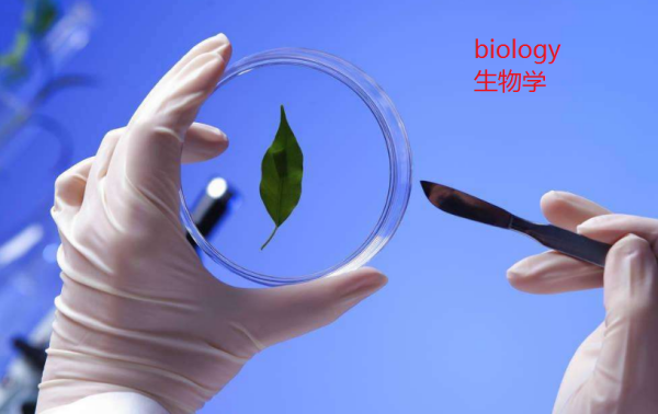 生物学的英文单词怎么写