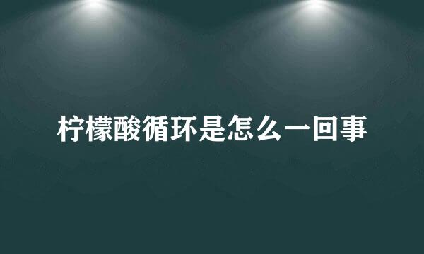 柠檬酸循环是怎么一回事