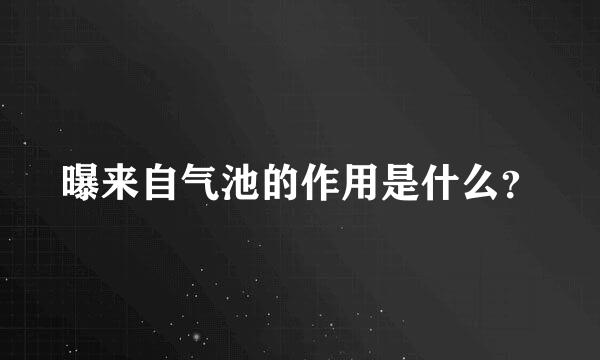 曝来自气池的作用是什么？