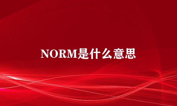 NORM是什么意思