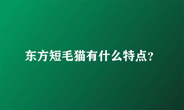 东方短毛猫有什么特点？