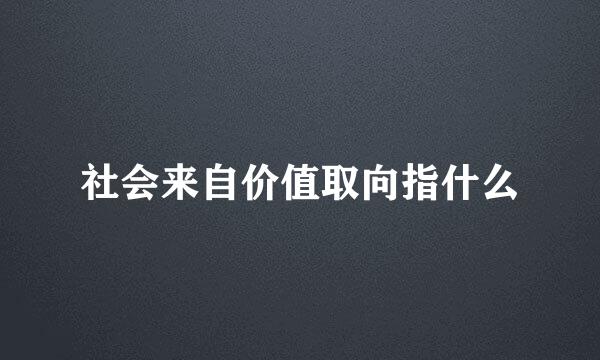 社会来自价值取向指什么