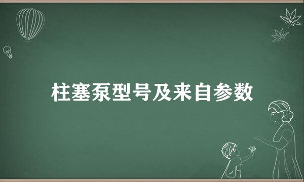 柱塞泵型号及来自参数