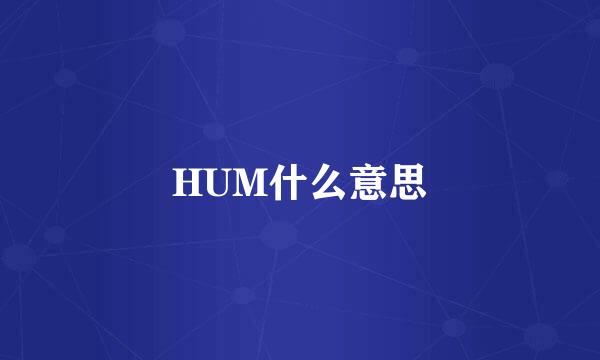 HUM什么意思